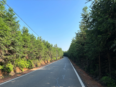 五部門印發(fā)《2023年數字鄉(xiāng)村發(fā)展工...